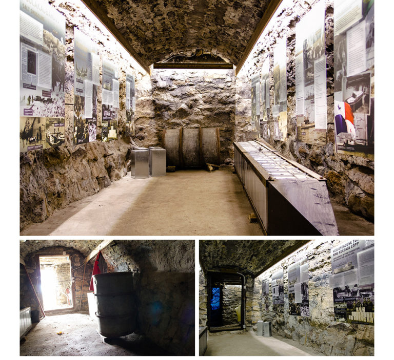 spirdivedajad 2 768x703 1.jpg