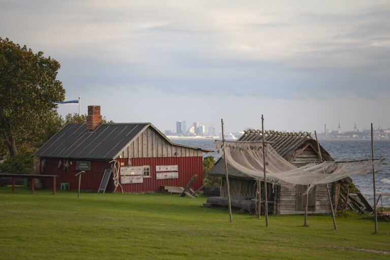 test pilt 1 768x512 1.jpg